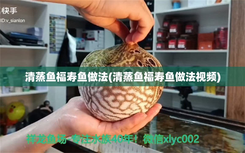 清蒸鱼福寿鱼做法(清蒸鱼福寿鱼做法视频)