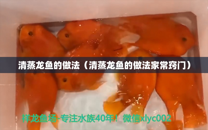 清蒸龙鱼的做法（清蒸龙鱼的做法家常窍门） 恐龙王鱼