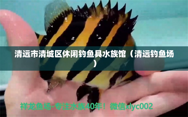 清远市清城区休闲钓鱼具水族馆（清远钓鱼场） 垂钓乐园