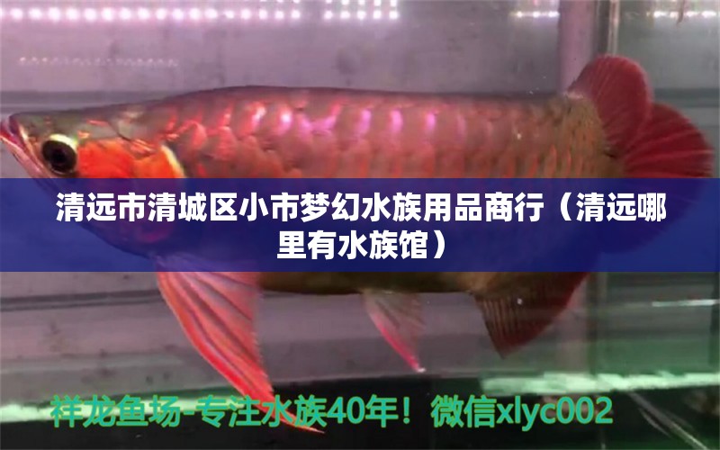 清远市清城区小市梦幻水族用品商行（清远哪里有水族馆）