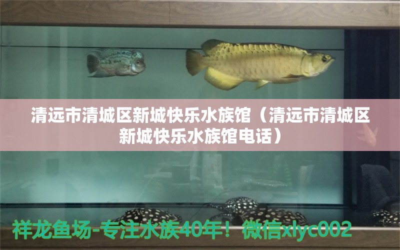 清远市清城区新城快乐水族馆（清远市清城区新城快乐水族馆电话） 全国水族馆企业名录