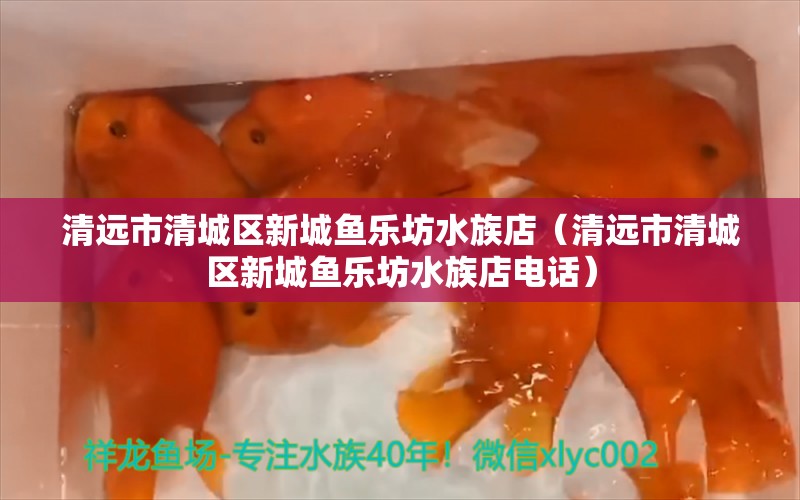 清远市清城区新城鱼乐坊水族店（清远市清城区新城鱼乐坊水族店电话） 全国水族馆企业名录