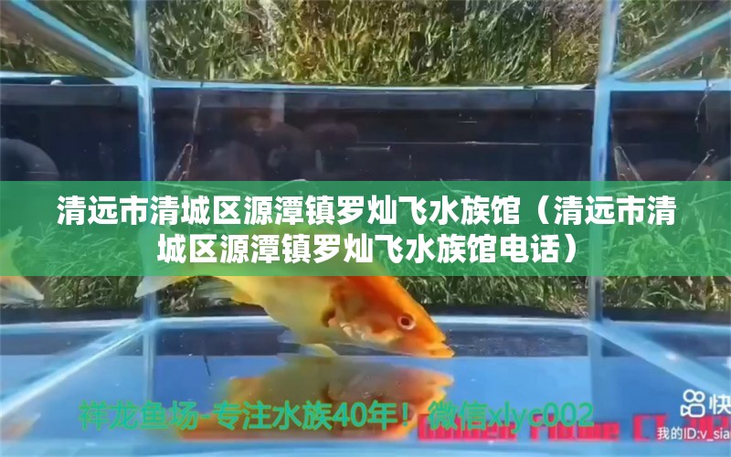 清远市清城区源潭镇罗灿飞水族馆（清远市清城区源潭镇罗灿飞水族馆电话）