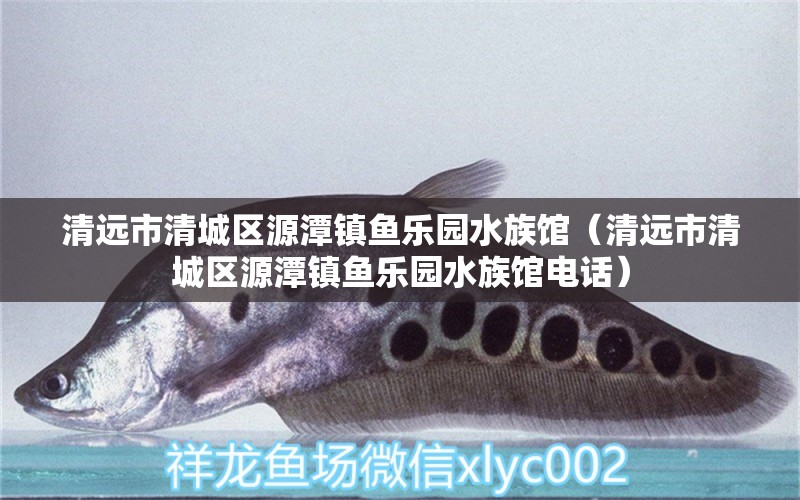 清远市清城区源潭镇鱼乐园水族馆（清远市清城区源潭镇鱼乐园水族馆电话）