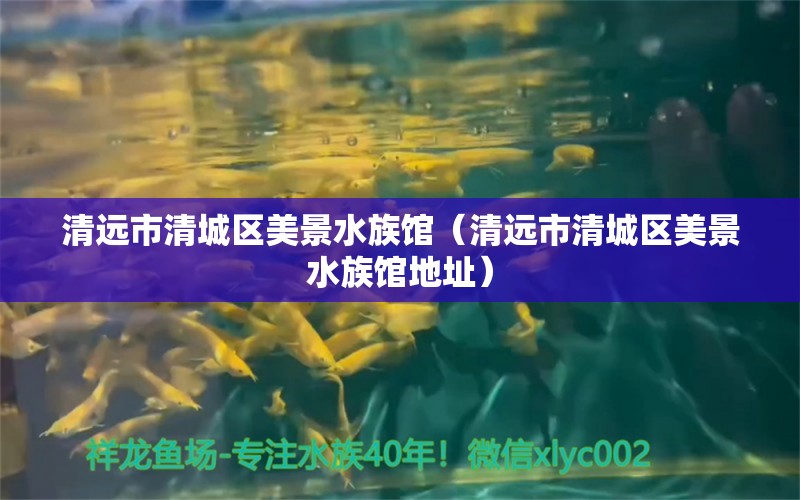 清远市清城区美景水族馆（清远市清城区美景水族馆地址）