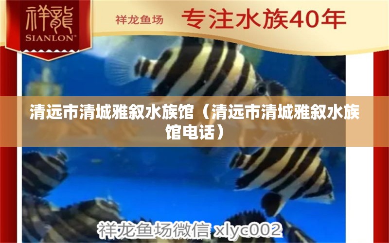 清远市清城雅叙水族馆（清远市清城雅叙水族馆电话） 全国水族馆企业名录