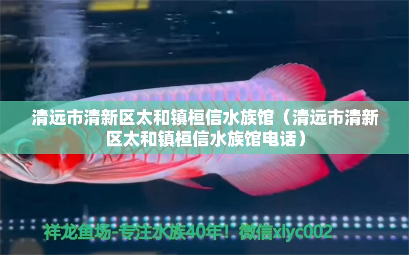 清远市清新区太和镇桓信水族馆（清远市清新区太和镇桓信水族馆电话）