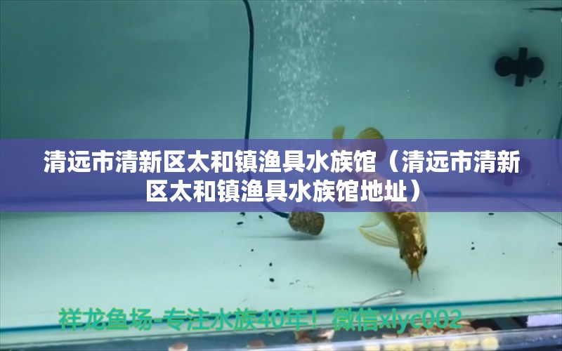 清远市清新区太和镇渔具水族馆（清远市清新区太和镇渔具水族馆地址） 全国水族馆企业名录