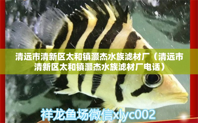 清远市清新区太和镇灏杰水族滤材厂（清远市清新区太和镇灏杰水族滤材厂电话） 全国水族馆企业名录