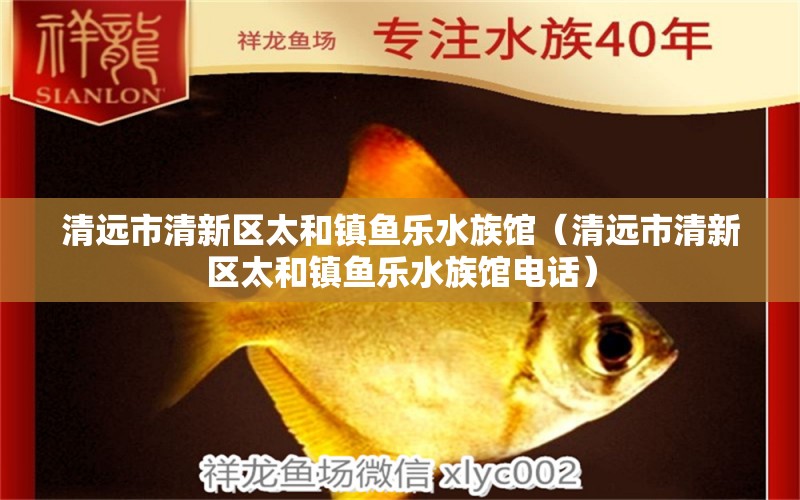 清远市清新区太和镇鱼乐水族馆（清远市清新区太和镇鱼乐水族馆电话）