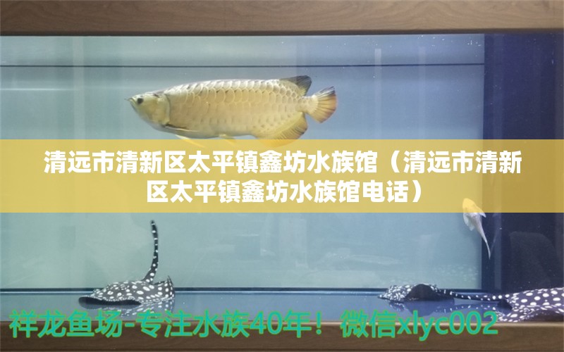 清远市清新区太平镇鑫坊水族馆（清远市清新区太平镇鑫坊水族馆电话） 全国水族馆企业名录