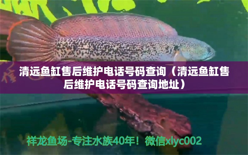 清远鱼缸售后维护电话号码查询（清远鱼缸售后维护电话号码查询地址） 其他品牌鱼缸