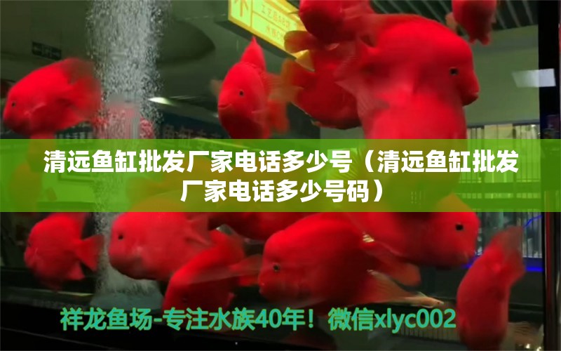 清远鱼缸批发厂家电话多少号（清远鱼缸批发厂家电话多少号码） 祥龙水族医院