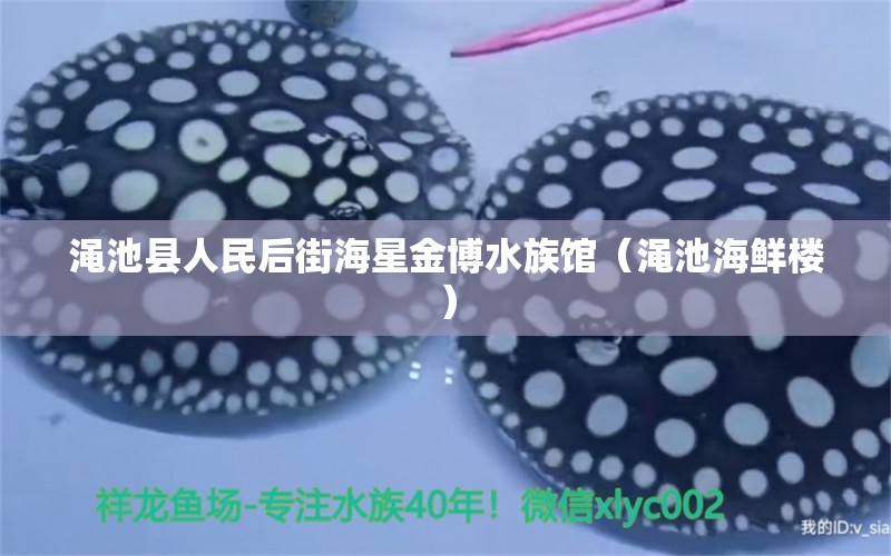 渑池县人民后街海星金博水族馆（渑池海鲜楼） 全国水族馆企业名录