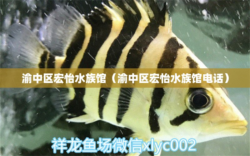 渝中区宏怡水族馆（渝中区宏怡水族馆电话） 全国水族馆企业名录