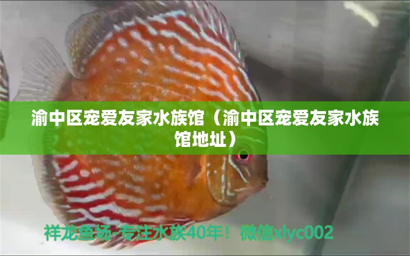 渝中区宠爱友家水族馆（渝中区宠爱友家水族馆地址） 全国水族馆企业名录