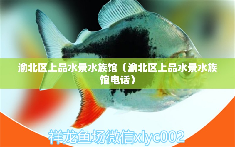 渝北区上品水景水族馆（渝北区上品水景水族馆电话）