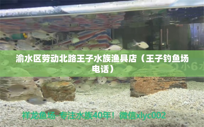 渝水区劳动北路王子水族渔具店（王子钓鱼场电话） 垂钓乐园 第1张