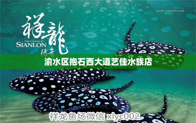 渝水区抱石西大道艺佳水族店 全国水族馆企业名录