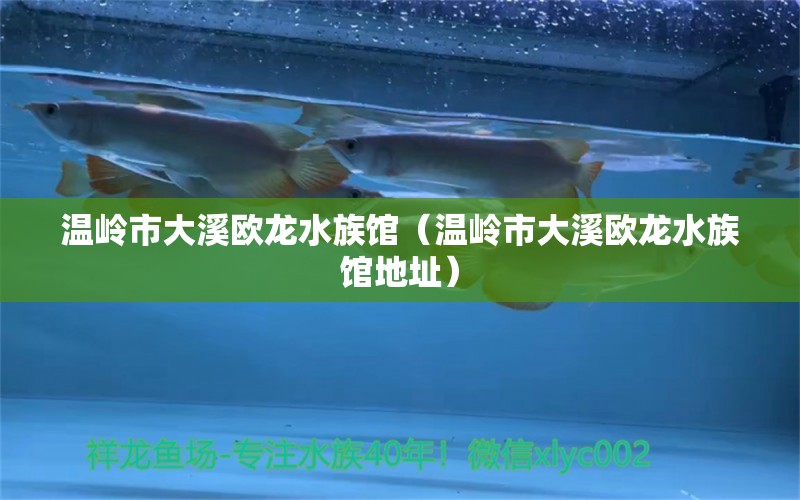 温岭市大溪欧龙水族馆（温岭市大溪欧龙水族馆地址） 全国水族馆企业名录