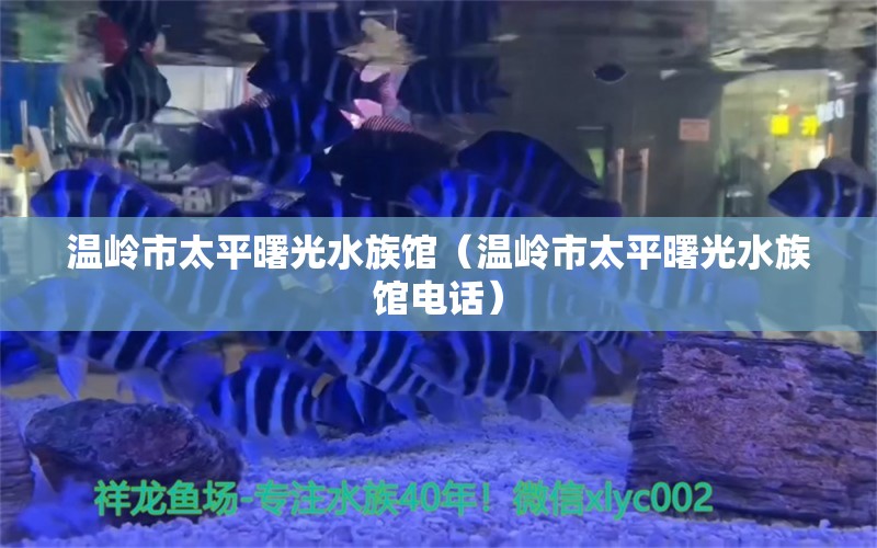 温岭市太平曙光水族馆（温岭市太平曙光水族馆电话）