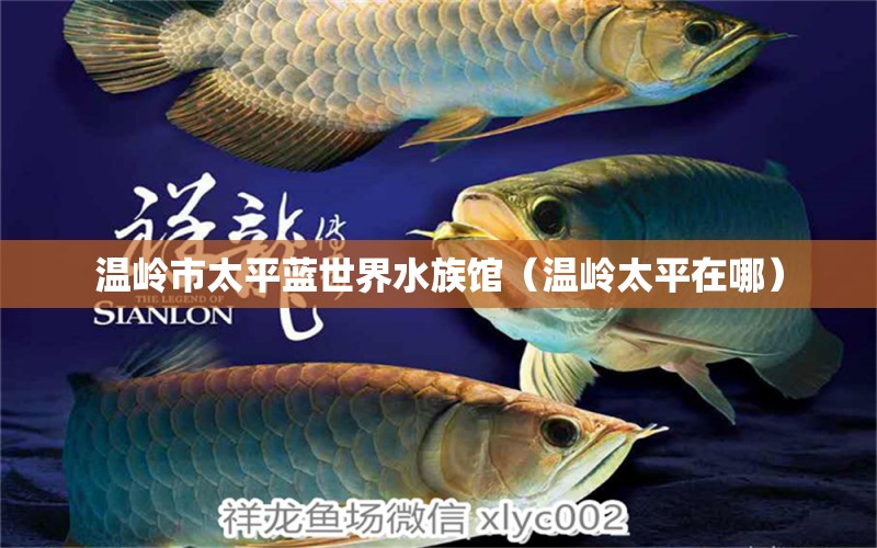 温岭市太平蓝世界水族馆（温岭太平在哪） 全国水族馆企业名录