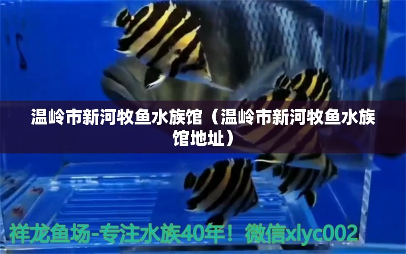 温岭市新河牧鱼水族馆（温岭市新河牧鱼水族馆地址）