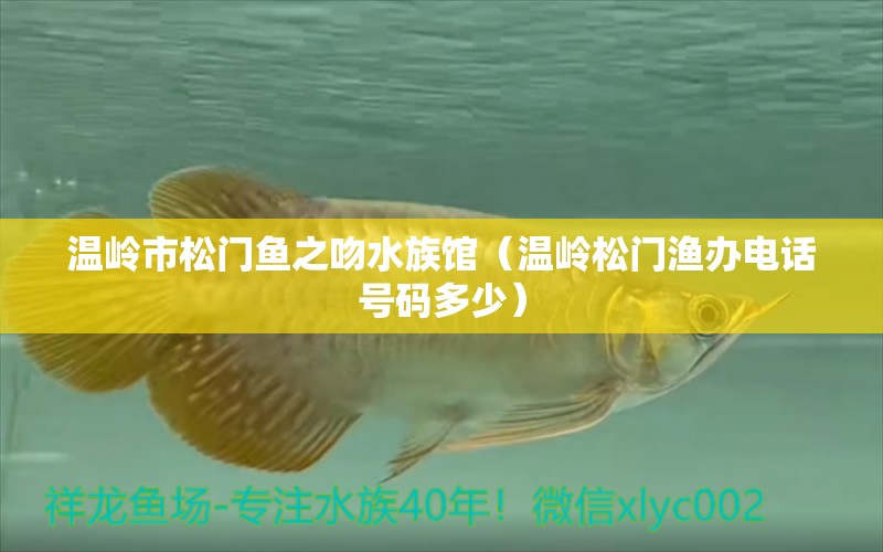 温岭市松门鱼之吻水族馆（温岭松门渔办电话号码多少）