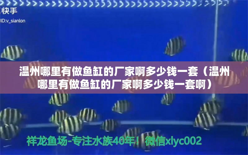 温州哪里有做鱼缸的厂家啊多少钱一套（温州哪里有做鱼缸的厂家啊多少钱一套啊）