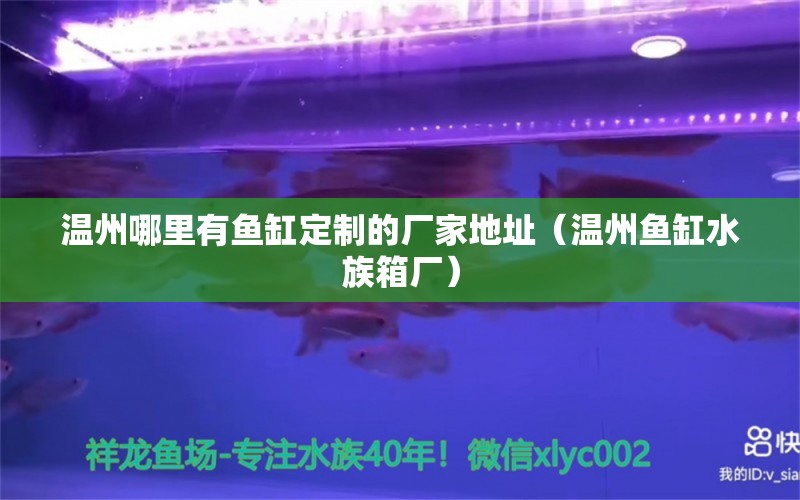 温州哪里有鱼缸定制的厂家地址（温州鱼缸水族箱厂） 赤元素 第1张