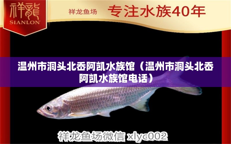 温州市洞头北岙阿凯水族馆（温州市洞头北岙阿凯水族馆电话） 全国水族馆企业名录