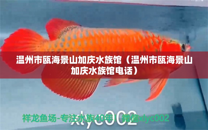 温州市瓯海景山加庆水族馆（温州市瓯海景山加庆水族馆电话）