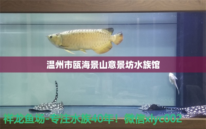 温州市瓯海景山意景坊水族馆