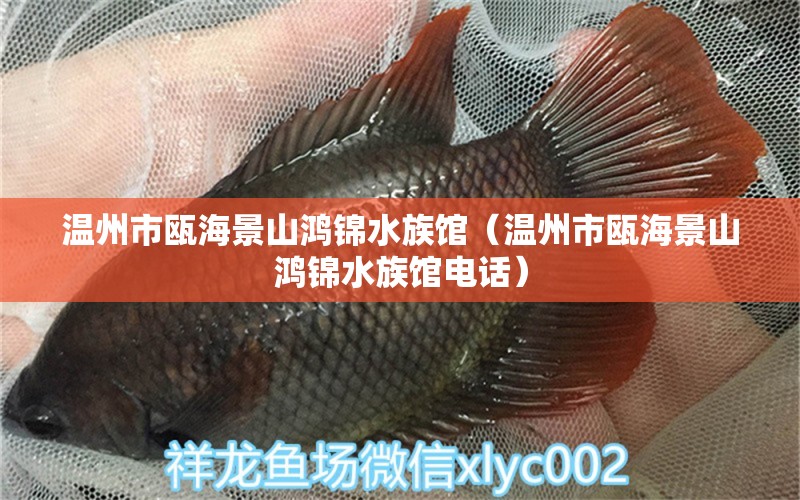 温州市瓯海景山鸿锦水族馆（温州市瓯海景山鸿锦水族馆电话）