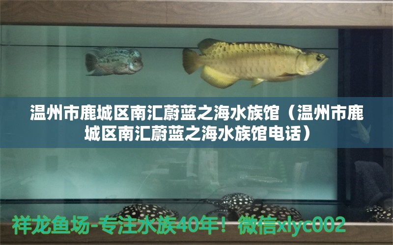 温州市鹿城区南汇蔚蓝之海水族馆（温州市鹿城区南汇蔚蓝之海水族馆电话） 全国水族馆企业名录