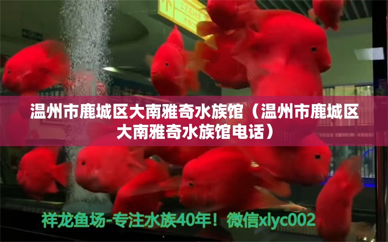 温州市鹿城区大南雅奇水族馆（温州市鹿城区大南雅奇水族馆电话） 全国水族馆企业名录