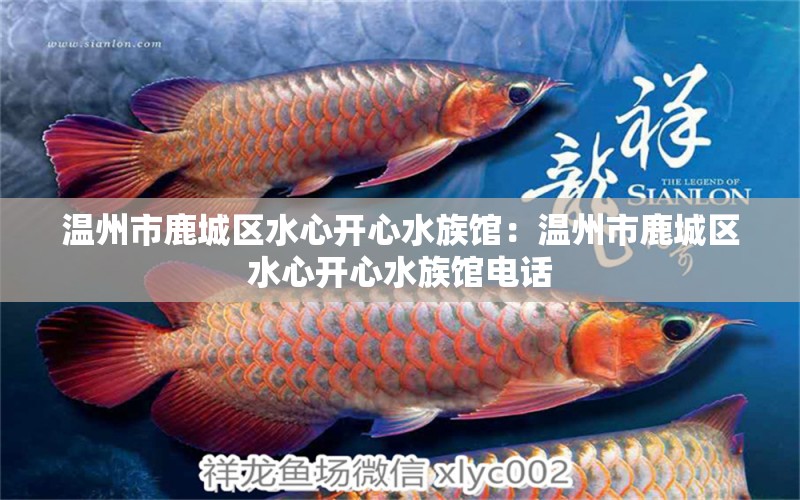 温州市鹿城区水心开心水族馆：温州市鹿城区水心开心水族馆电话