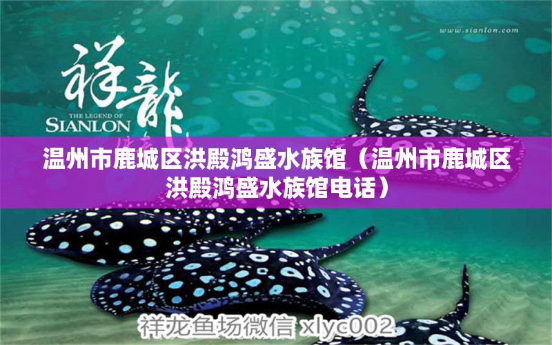 温州市鹿城区洪殿鸿盛水族馆（温州市鹿城区洪殿鸿盛水族馆电话）