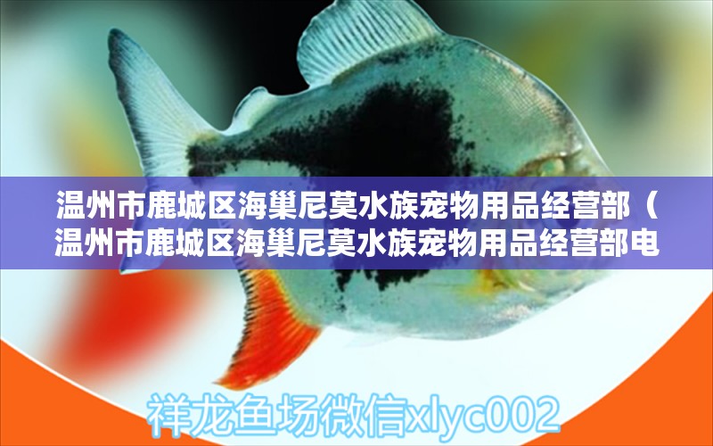 温州市鹿城区海巢尼莫水族宠物用品经营部（温州市鹿城区海巢尼莫水族宠物用品经营部电话）