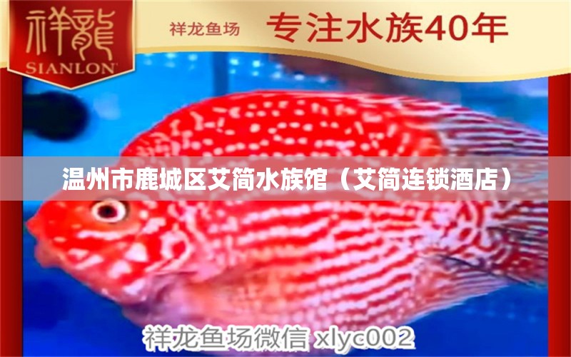 温州市鹿城区艾简水族馆（艾简连锁酒店）