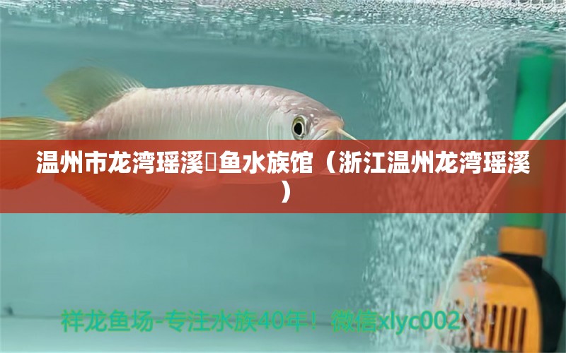 温州市龙湾瑶溪魟鱼水族馆（浙江温州龙湾瑶溪）