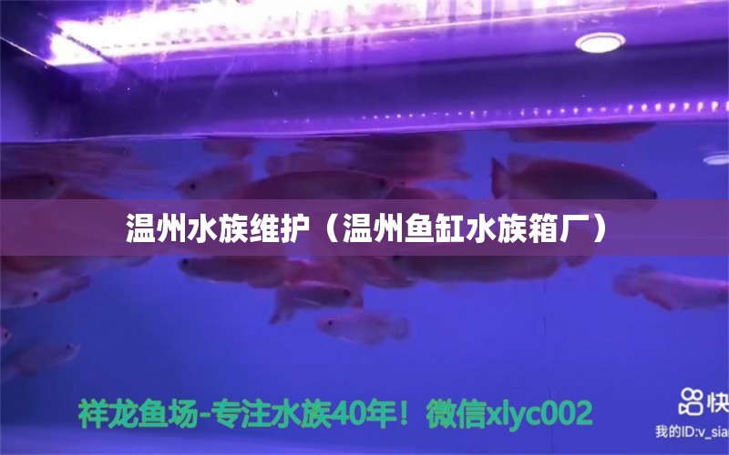 温州水族维护（温州鱼缸水族箱厂）