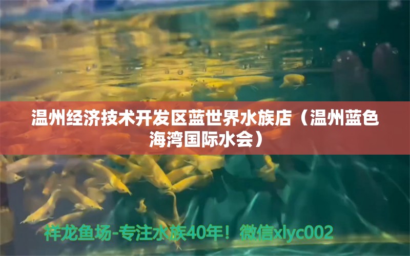 温州经济技术开发区蓝世界水族店（温州蓝色海湾国际水会） 全国水族馆企业名录