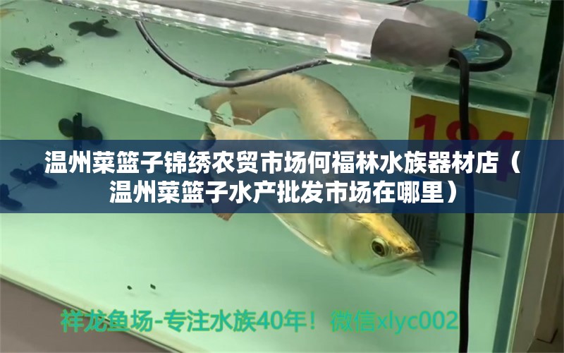 温州菜篮子锦绣农贸市场何福林水族器材店（温州菜篮子水产批发市场在哪里） 全国水族馆企业名录