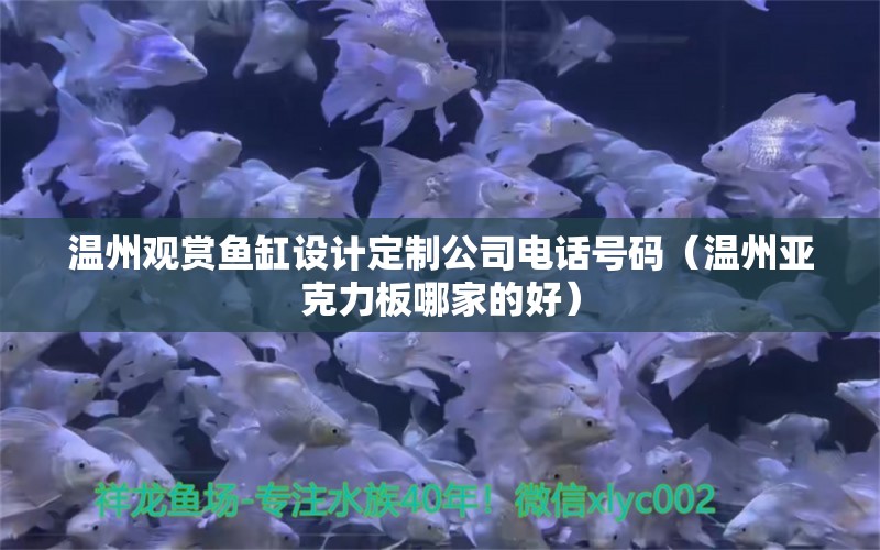 温州观赏鱼缸设计定制公司电话号码（温州亚克力板哪家的好） 胭脂孔雀龙鱼 第1张