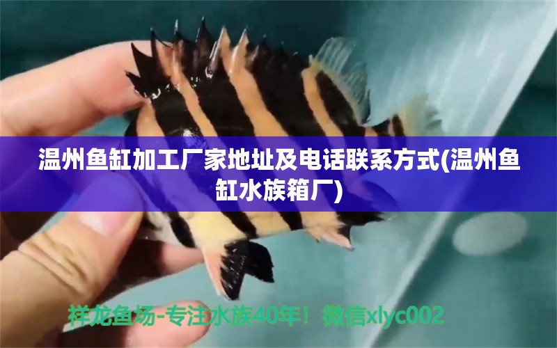 温州鱼缸加工厂家地址及电话联系方式(温州鱼缸水族箱厂) 鱼缸/水族箱