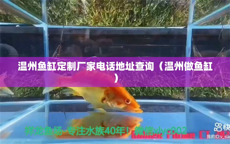 温州鱼缸定制厂家电话地址查询（温州做鱼缸） 水族周边