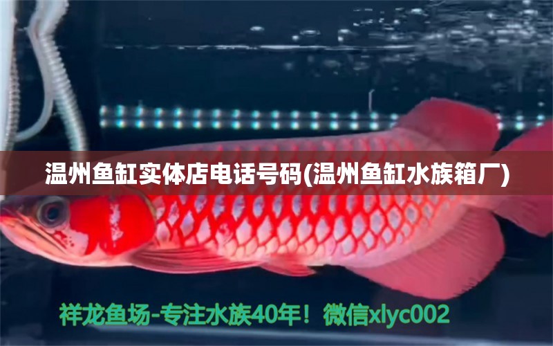 温州鱼缸实体店电话号码(温州鱼缸水族箱厂) 鱼缸/水族箱