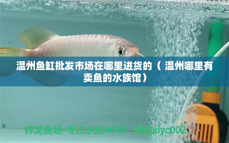 温州鱼缸批发市场在哪里进货的（ 温州哪里有卖鱼的水族馆）