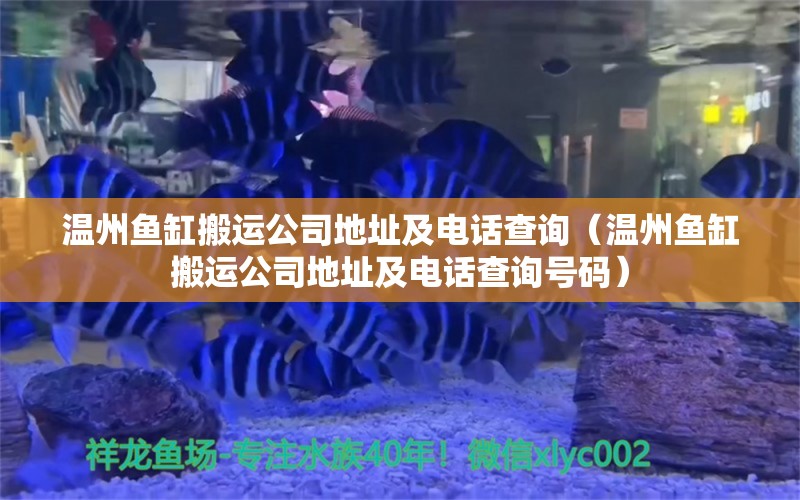 温州鱼缸搬运公司地址及电话查询（温州鱼缸搬运公司地址及电话查询号码）